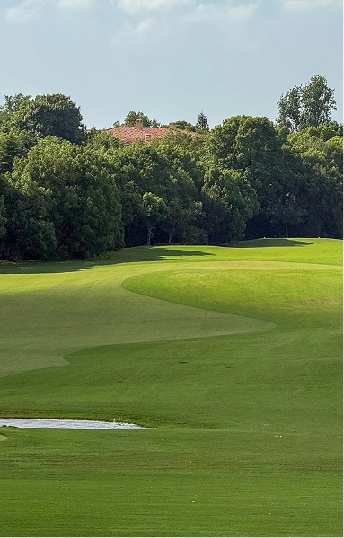 RE4ORM synthetic turf recycling &ndash; A lush, green golf course with smooth fairways shaped by the RE4ORM Process and trees lining the background under a partly cloudy sky; a small sand bunker is visible in the foreground.